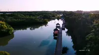 南沙湿地公园航拍