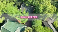 老霄顶，老乐山才知道的地方！