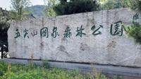 岳阳临湘五尖山森林公园！关键词：淡泊……