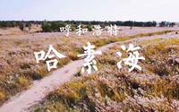 呼和浩特小众景点|听塞外西湖—哈素海的秋日低语