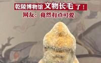 陕西乾陵博物馆文物长毛了！行业人士称现象很少见，可做成标本 网友：竟有点可爱