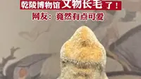 陕西乾陵博物馆文物长毛了！行业人士称现象很少见，可做成标本 网友：竟有点可爱