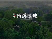 国家级湿地公园西溪湿地