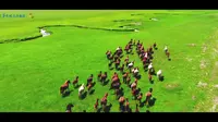 “把五角枫这篇文章作好”推动标准化建设落地生根，助力科右中旗文旅高质量发展