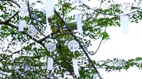 避坑泉州网红安溪溪禾山铁观音文化园