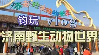[钧玩] 济南野生动物世界vlog 和同学一起 边玩边唱