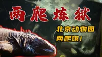 曾经的标杆！现在的炼狱？探访北京动物园两爬馆！