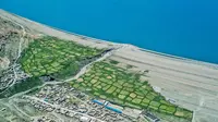 海拔4600米的湖边，藏着藏北唯一的“菜园”，神奇的文布南村