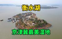 自驾环游中国，逛河北衡水湖，被誉为京津冀最美湿地，环境太棒了
