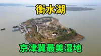 自驾环游中国，逛河北衡水湖，被誉为京津冀最美湿地，环境太棒了