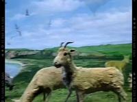 扎赉诺尔博物馆，到此一游，我夏日的奇遇记