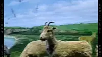 扎赉诺尔博物馆，到此一游，我夏日的奇遇记