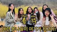 日常Vlog-春游 国家AAAA级旅游景区 大连西郊国家森林公园