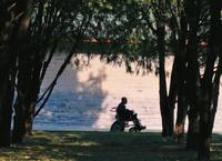 要是有些事我没说，地坛，你别以为是我忘了。