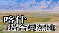 帕米尔高原上的世外桃源一塔合曼湿地