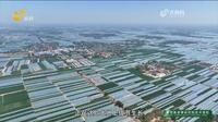 走进董杜庄 赴一场甜蜜之约
