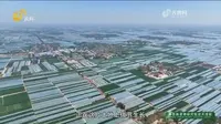 走进董杜庄 赴一场甜蜜之约