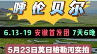 #呼伦贝尔草原自驾莫日格勒河前方领队2026年5月23日踩线实拍，草长起来了，牛马也提前来了。#合肥自驾游#徐队带你看世界#自驾游#呼伦贝尔#草原自驾