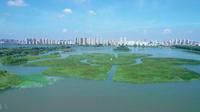 江苏省东海县西双湖景区美丽景色