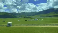 《西藏见闻》三十七：挑选的草场。当雄，藏语的意思是＂挑选的草场＂。全县草原面积3700平方公里。蓝天白云下，辽阔的草原上，牛羊与放牧的车辆、毡房星罗棋布。