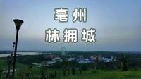 傍晚在亳州林拥城景区散步 | 沉浸 4K