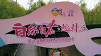陈桥湿地公园