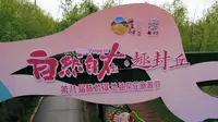 陈桥湿地公园