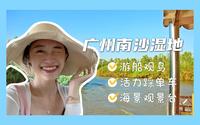 粤语VLOG｜广州南沙湿地景区半日游览.游船体验.红树林观鸟.登塔望海景.景区单车骑行