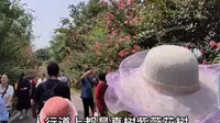 实拍4A级景区武汉新洲仓埠紫薇都市田园，风景优美孩子们的乐园！