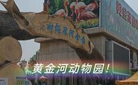 黄金河动物园！！【蓬莱】