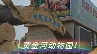 黄金河动物园！！【蓬莱】