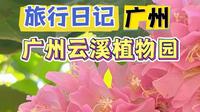 广州云溪植物园，藏在白云山脚下的“绿野仙踪”。