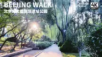 【北京散步】北京元大都城垣遗址公园下午散步｜北京朝阳区｜Beijing Walk 2024【4K/原创】云旅行・环境音