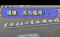 特别特别有意义的一个博物馆 青海自然资源博物馆