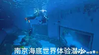 潜水 南京  海底世界