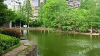 原来衡阳动物园是湘南地区唯一国营性综合动物园