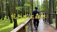 杭州避暑方式之一：水上森林漫步，看天鹅和梅花鹿。
