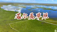 9月打卡若尔盖大草原，作为湿地草原，比西藏阿里草原还美！