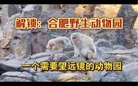 解锁：合肥野生动物园。一个需要用望远镜的动物园