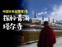 青海的塔尔寺，我顶着高反，花了70块钱门票，看看有啥好玩的？ | 肉一桑roi环球旅行-中国