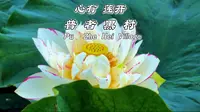 普者黑的荷花开了  祝你好运莲莲