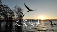【vlog150】大理｜龙龛码头的日出