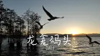【vlog150】大理｜龙龛码头的日出