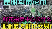 亚洲最大鲜花交易市场！探秘昆明斗南花卉市场鲜花拍卖中心长什么样，价格便宜到离谱