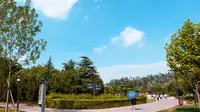 VLOG | 邯郸赵苑公园
