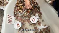 清凉山公园  看大爷如何让一元区雨花石身价倍增