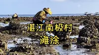 滩涂，赶海之美。湛江南极村，中国大陆最南端，值得一游。