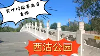 天津红桥区西沽公园历史悠久，黄叶村故事原来是个恶作剧