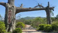 第30集｜柳州周边之龙母水库，山楂之恋
