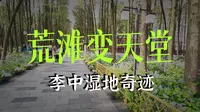 1402泰州两日游2李中水上森林景区